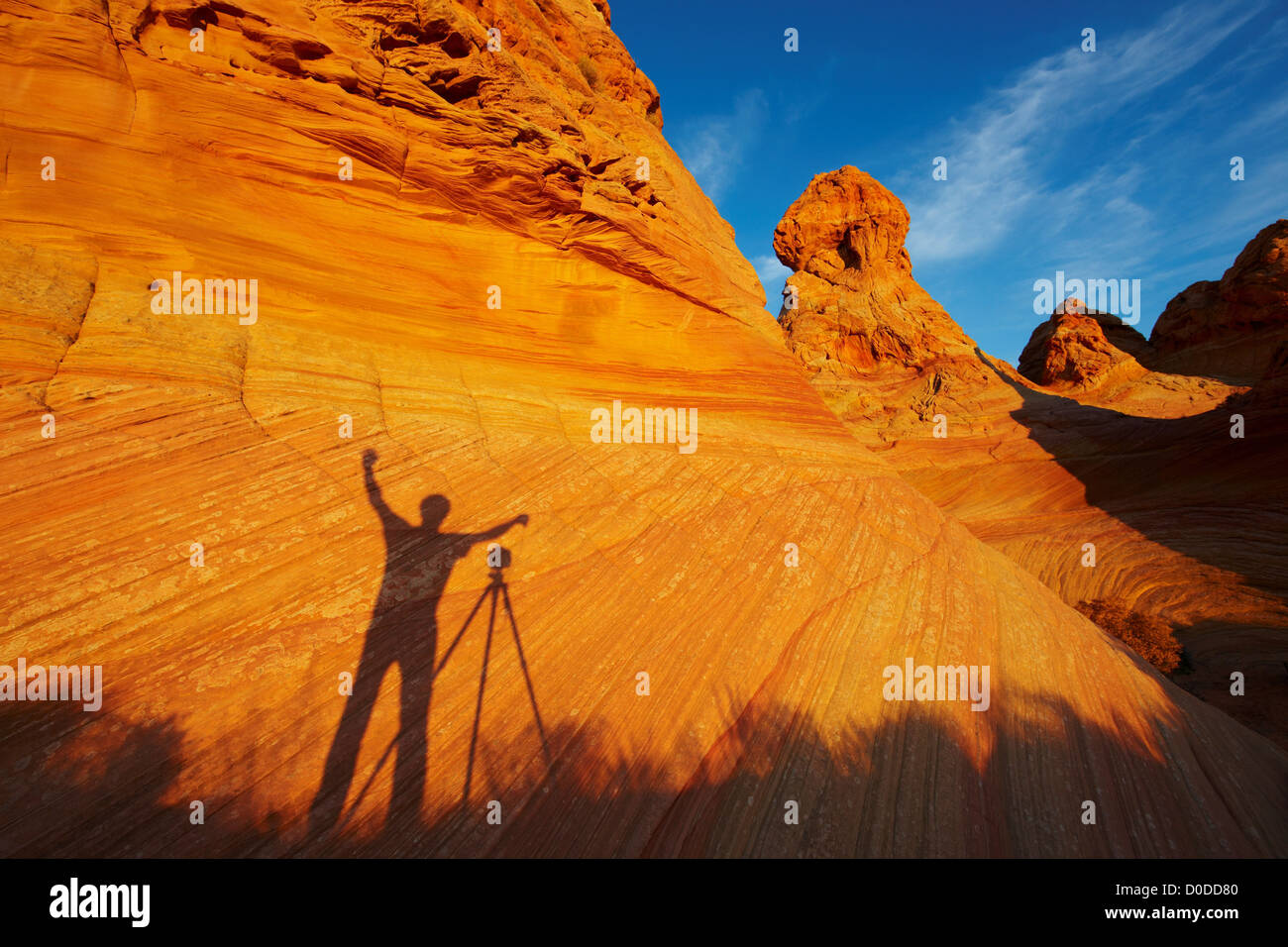 L'ombre d'un photographe sur une formation de grès, au sud Coyote Buttes, Paria Canyon-Vermilion Cliffs Wilderness Area. Banque D'Images