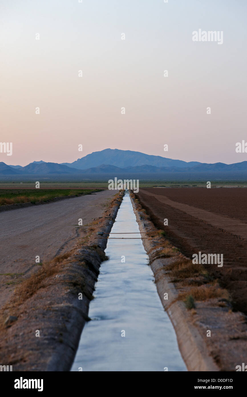 Canal d'irrigation près de la montagnes Mohawk, Arizona. Banque D'Images