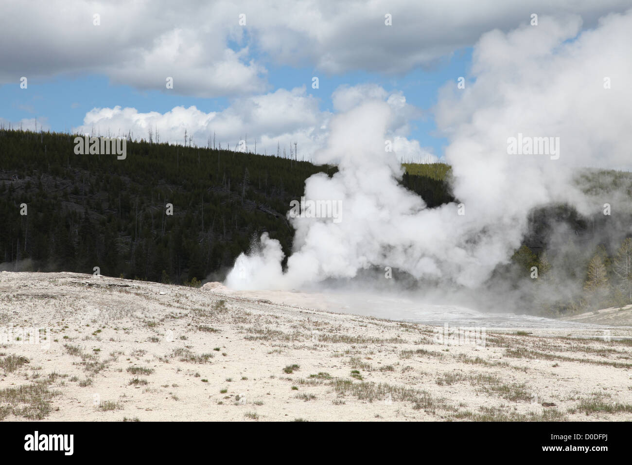 Old Faithful Geyser, Yellowstone National Park, Wyoming, USA Banque D'Images