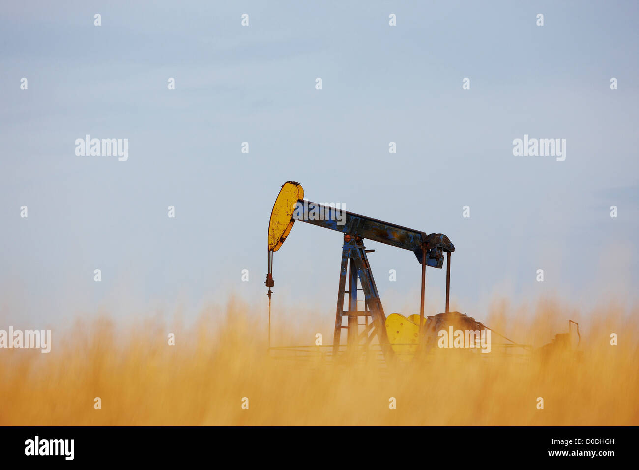 Pompe de puits de pétrole, jack Colorado Banque D'Images