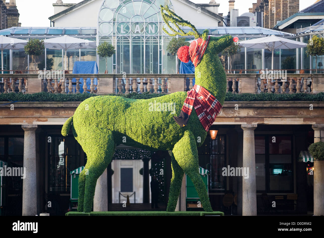 Topiaire géant Red Nosed Reindeer en dehors de Covent Garden Market Banque D'Images