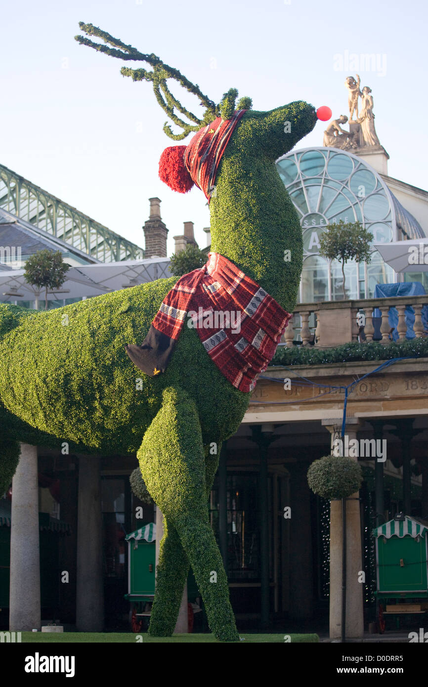 Topiaire géant Red Nosed Reindeer en dehors de Covent Garden Market Banque D'Images