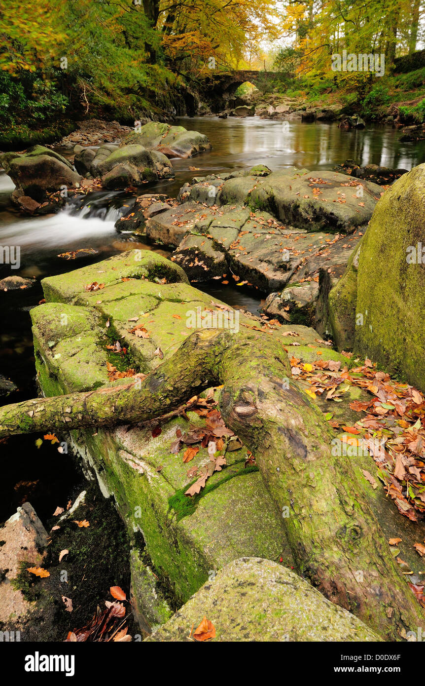 Rivière Esk et l'Auge Chambre Pont en automne, Eskdale, Lake District Banque D'Images