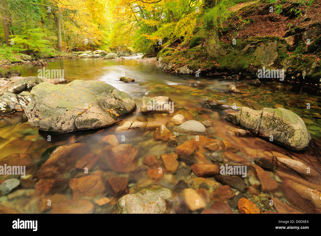 Rivière Esk en automne dans le Lake District Banque D'Images