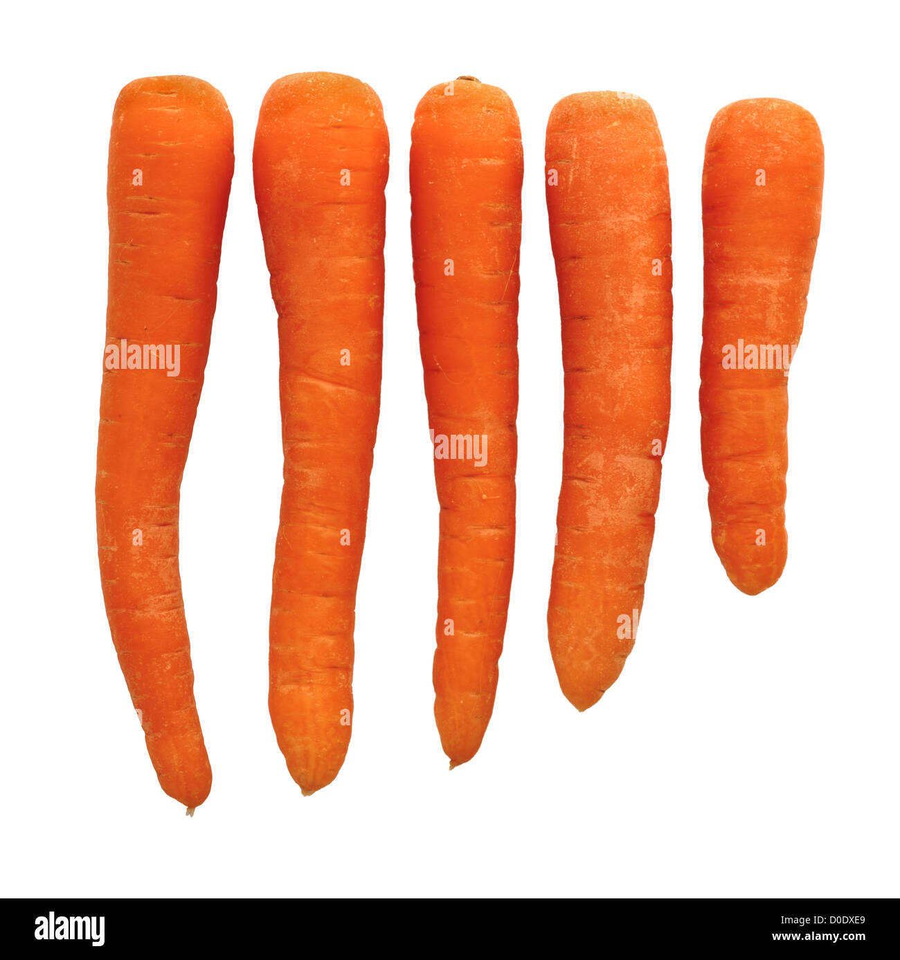Les carottes isolé sur fond blanc Banque D'Images
