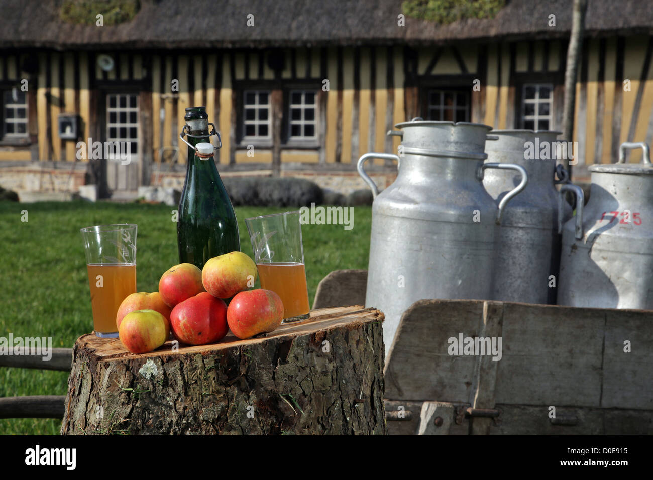 Les POMMES À CIDRE DE NORMANDIE BIDONS DE LAIT DEVANT LA MAISON au toit de chaume, NORMAN BOURNEVILLE REGION PONT-AUDEMER EURE (27) FRANCE Banque D'Images