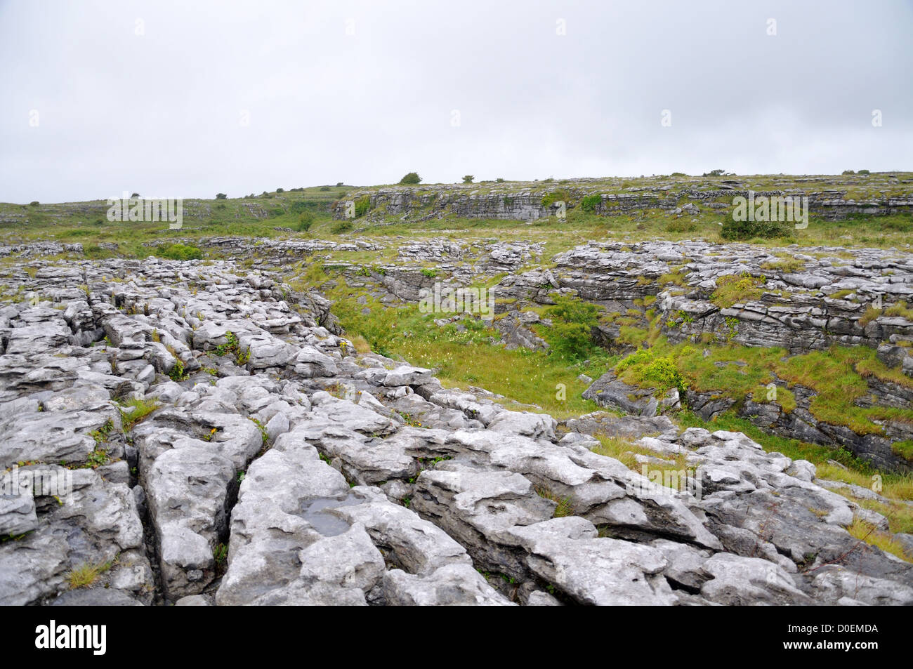Des formations de roche karstique du Burren Irlande Banque D'Images