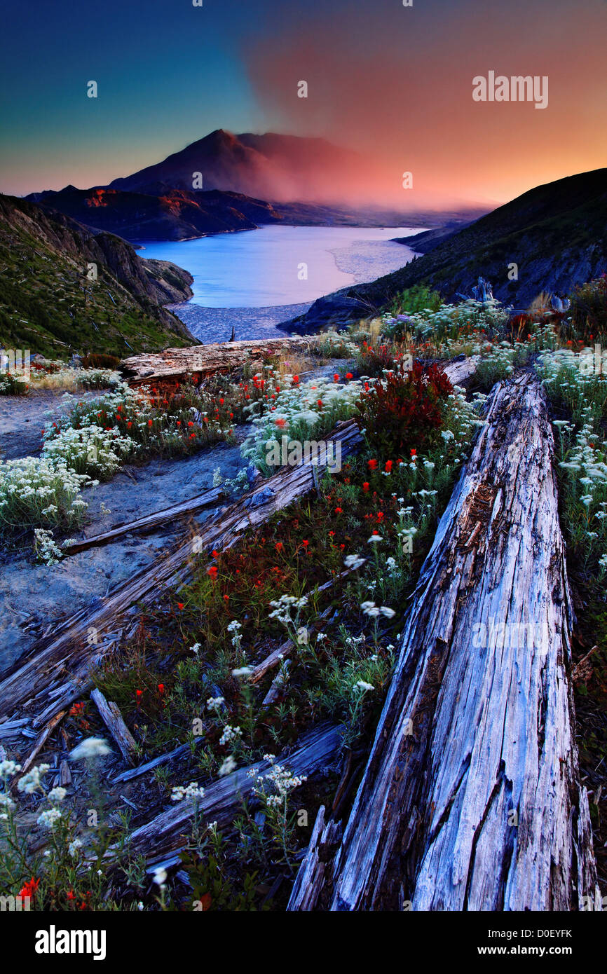 Coucher de soleil sur le Mont Saint Helens et Spirit Lake, de la Norvège, Mont Saint Helens, Washington Monument Volcanique National. Banque D'Images