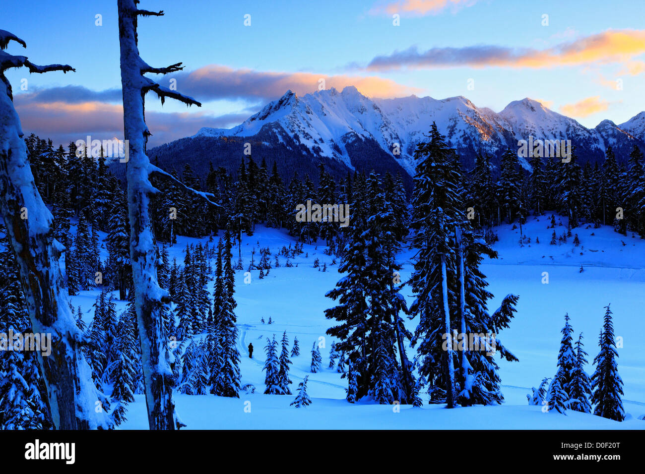 Une scène d'hiver au lever du soleil sur une image figée dans le lac, Heather Meadows, avec le naseux Ridge dans la distance. Banque D'Images