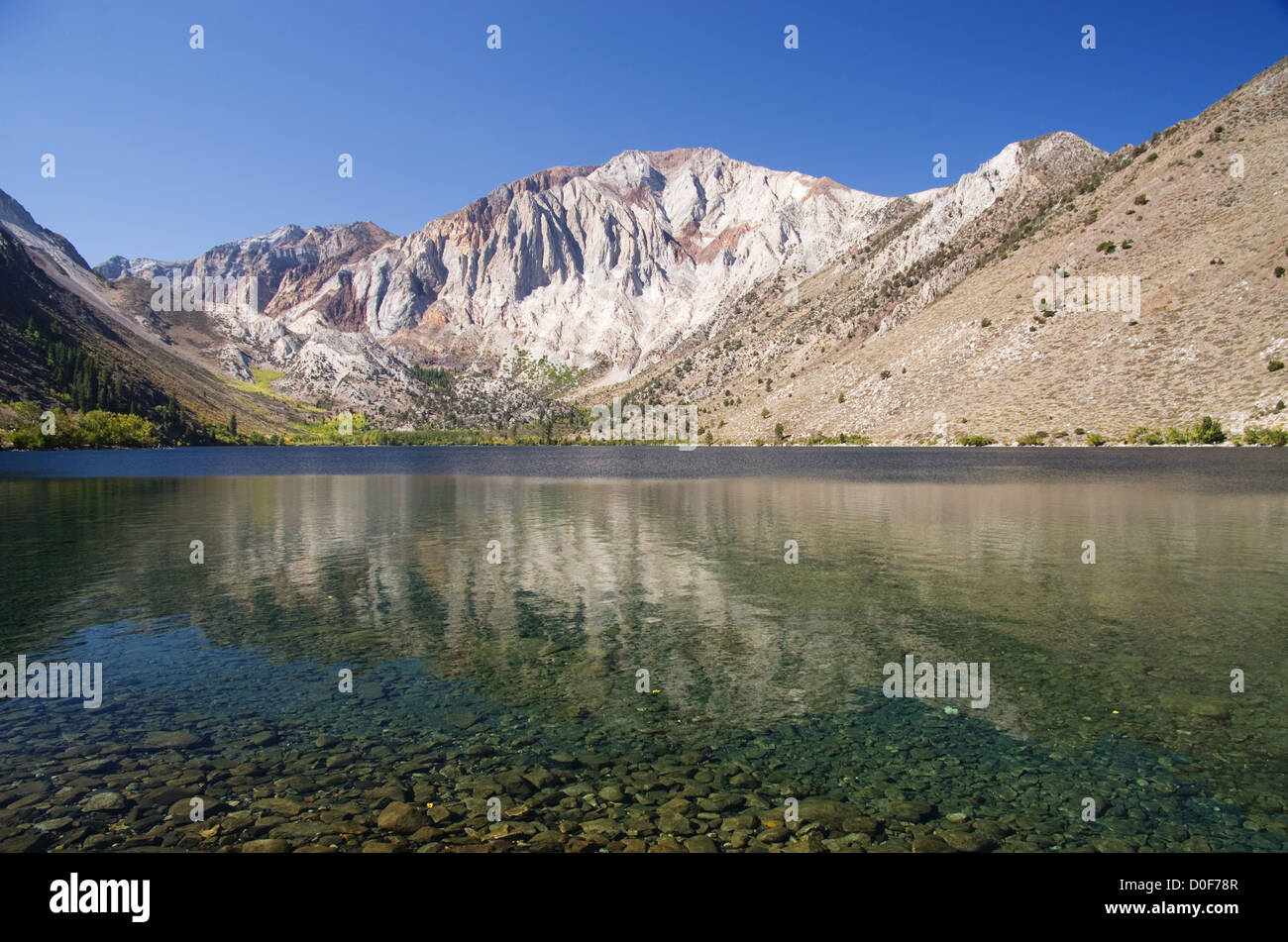 Mountain Laurel reflète dans Convict Lake dans la Sierra Nevada Banque D'Images