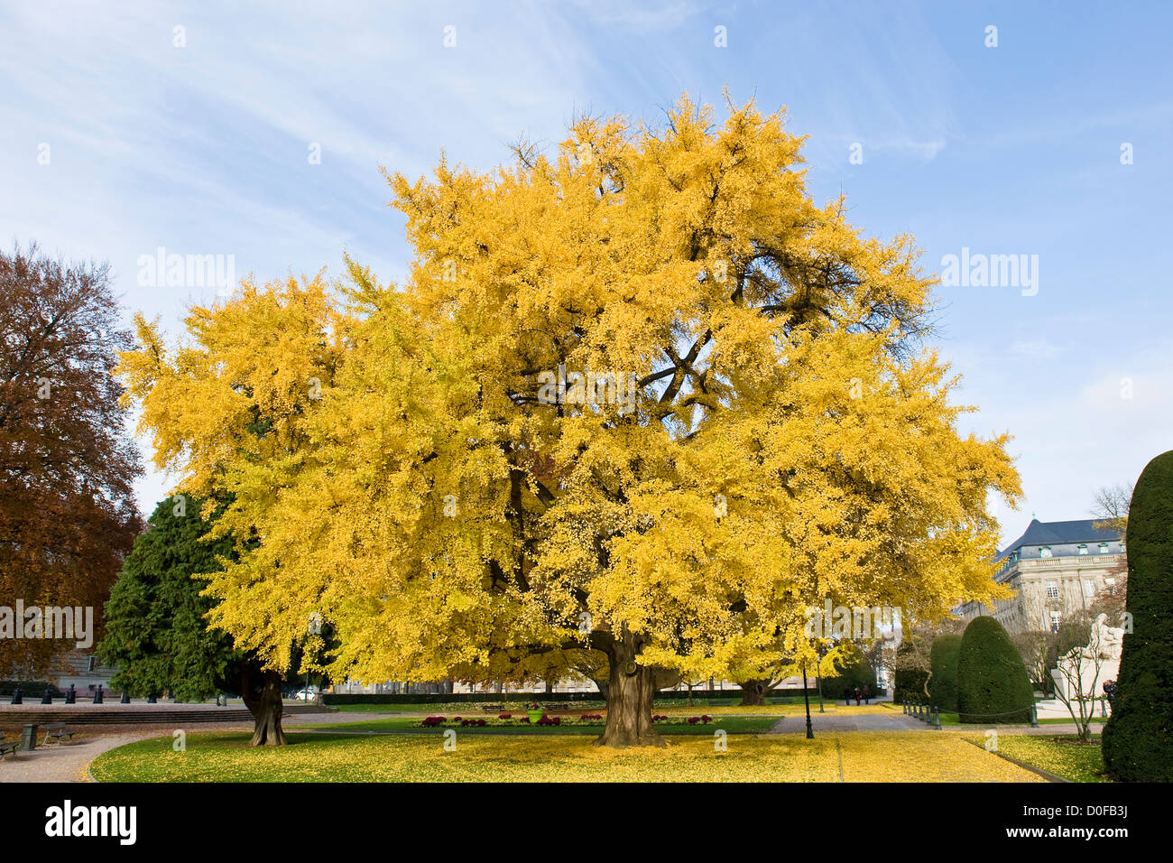 France, Alsace, Strasbourg, l'automne en ville Banque D'Images