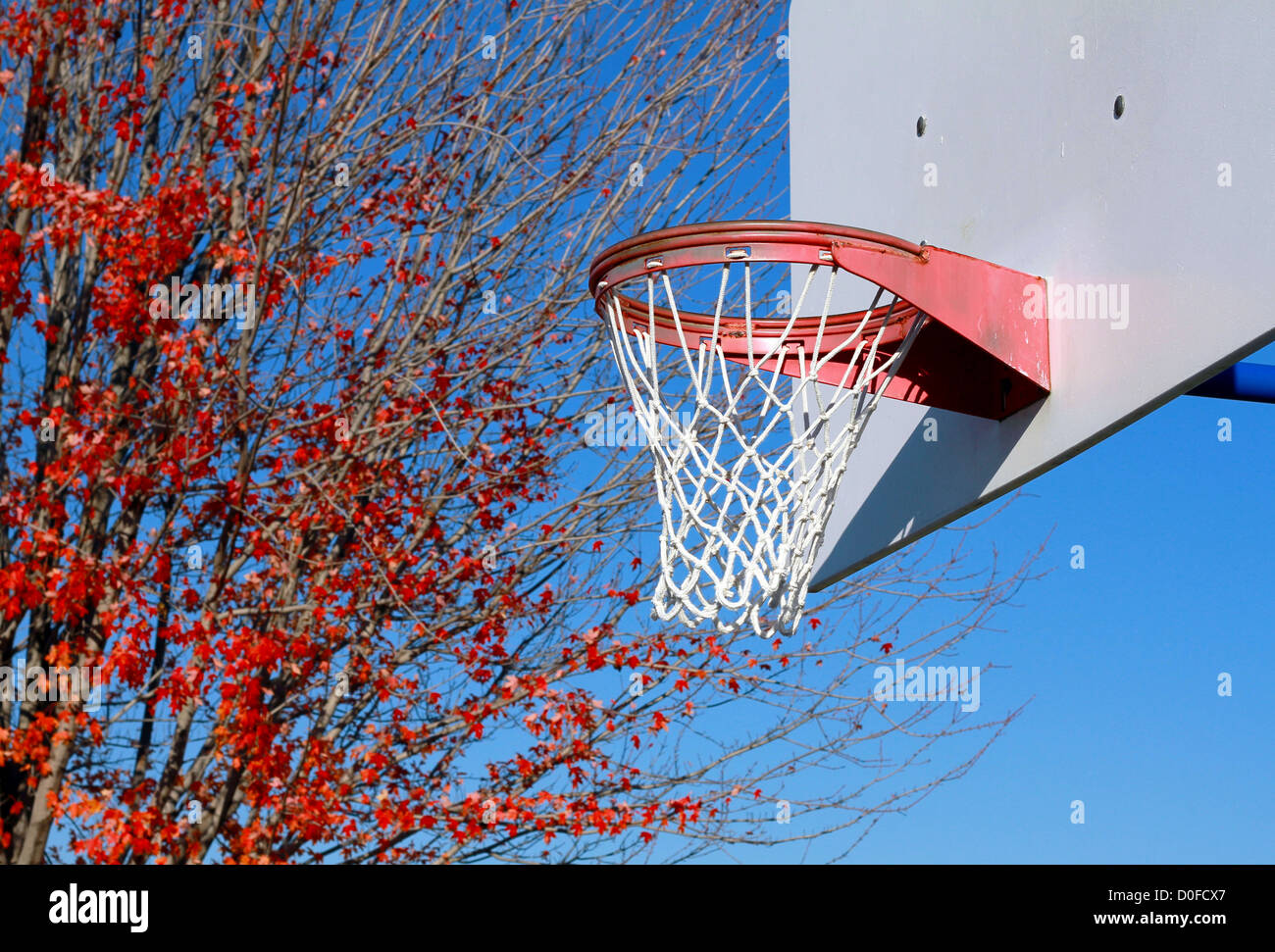 Aire de basket-ball Net Banque D'Images