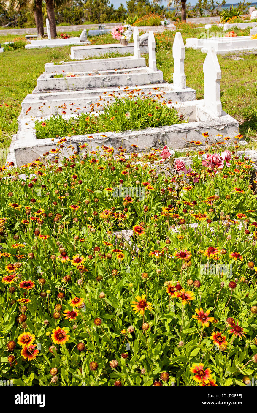 Cimetière dans le village de New Plymouth, Green Turtle Cay, Bahamas. Banque D'Images