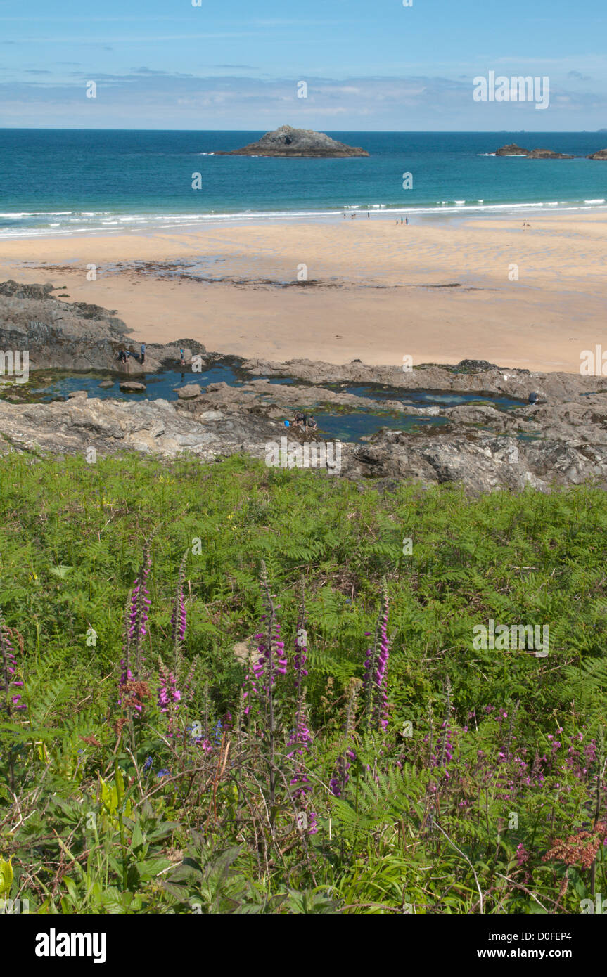 Rockpools digitales, et le sable à Crantock Beach, près de Newquay, Cornwall, UK. De juin. À marée basse. Banque D'Images