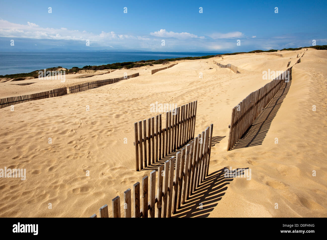 Les dunes et la plage de Punta Paloma Tarifa Cadiz Andalousie Espagne Dunas y Playa Punta Paloma Tarifa Cádiz andalousie España Banque D'Images