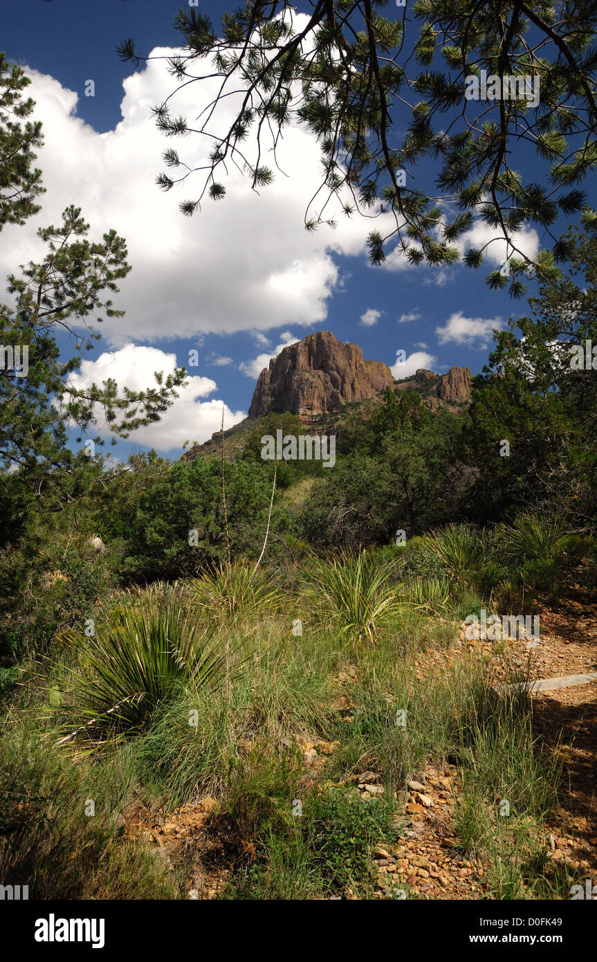 Casa Grande pic dans les montagnes Chiso dans le parc national Big Bend au Texas Banque D'Images