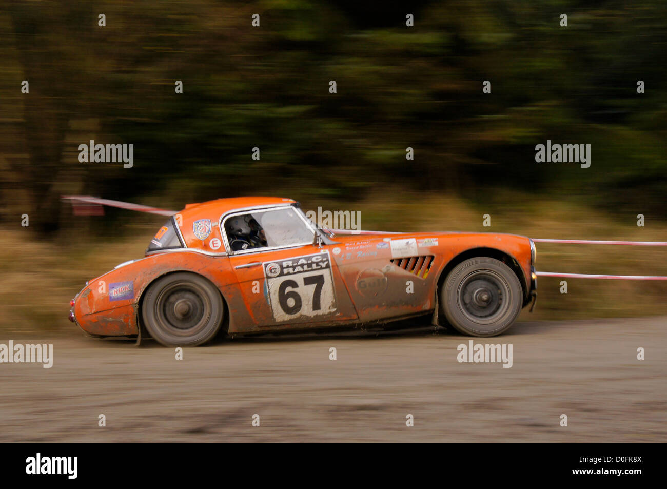 Austin Healey 3000 SpijkerPickering Vincent Mark Schmidt 57e au classement général à la fin de jour 2 du RAC Rally., North Yorkshire, UK. Le Roger Albert Clark Rally 2012 organisé par le Motor Club De Lacy. Les pilotes et leurs voitures à Co-Drivers poussant les limites de la piste à la Gale Rigg au jour 2 étape des 3 jours de l'événement. Banque D'Images