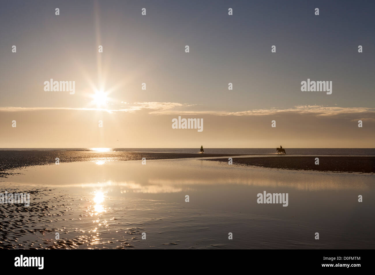 Golden Sunrise Beach avec starburst réfléchissant et silhouette chevaux Banque D'Images