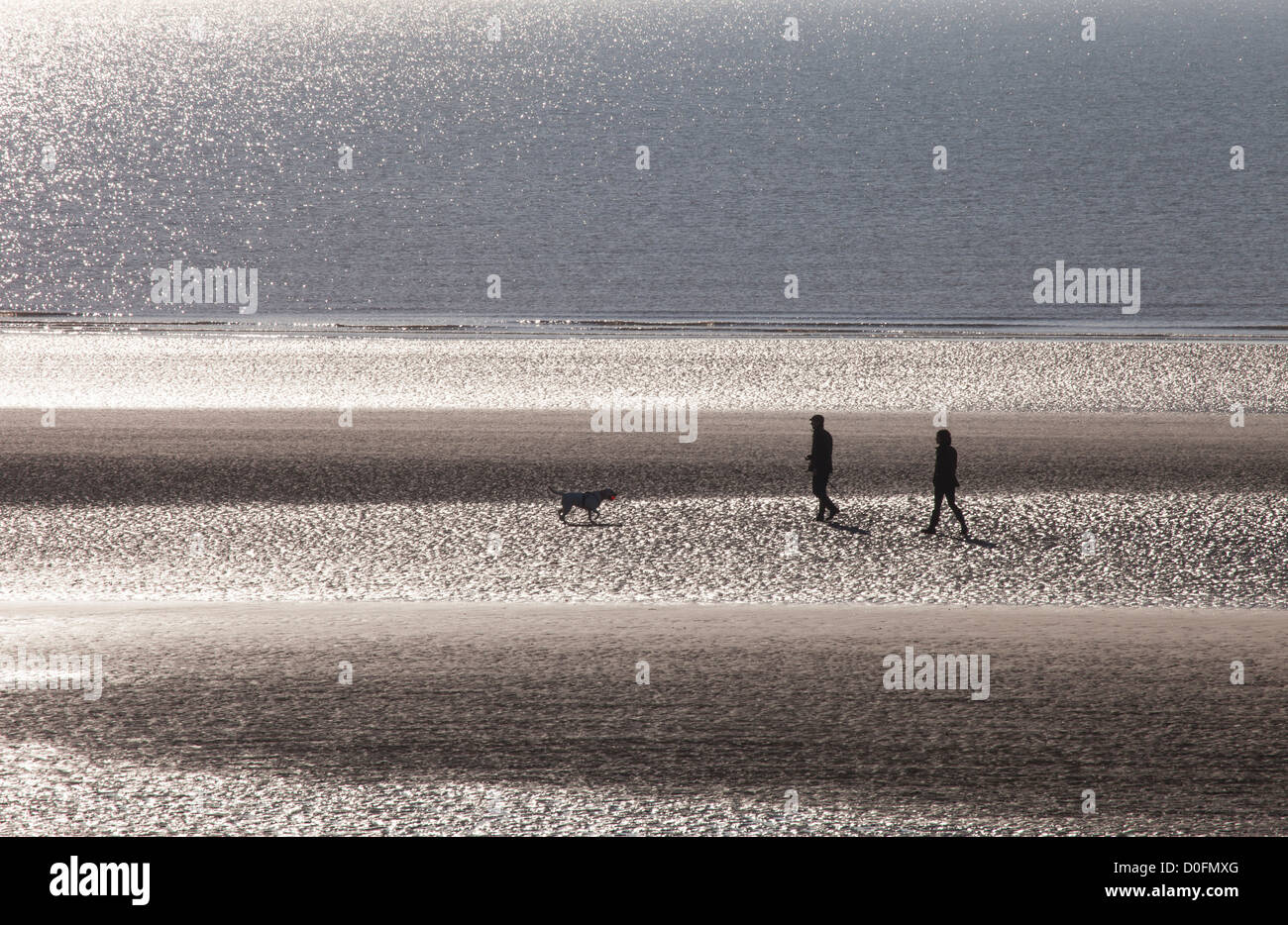 Golden Sunrise Beach - Romantic couple walking dog sur la plage Banque D'Images