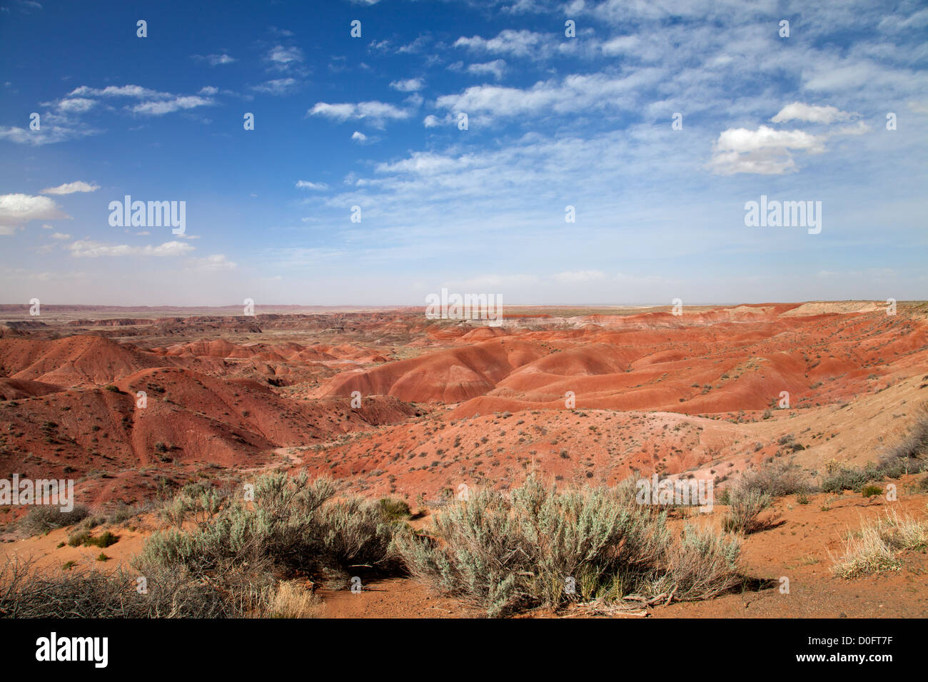 Painted Desert National Park en Arizona. Banque D'Images