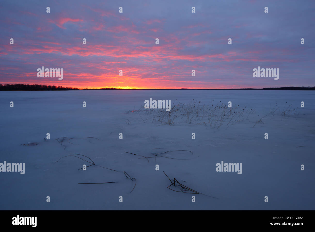 Lake Saadjärv en hiver au coucher du soleil. L'Estonie, Europe Banque D'Images