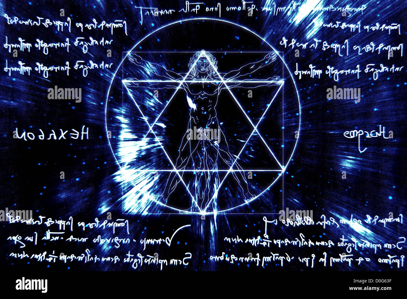 Las proporciones del cuerpo humano Banque de photographies et d’images