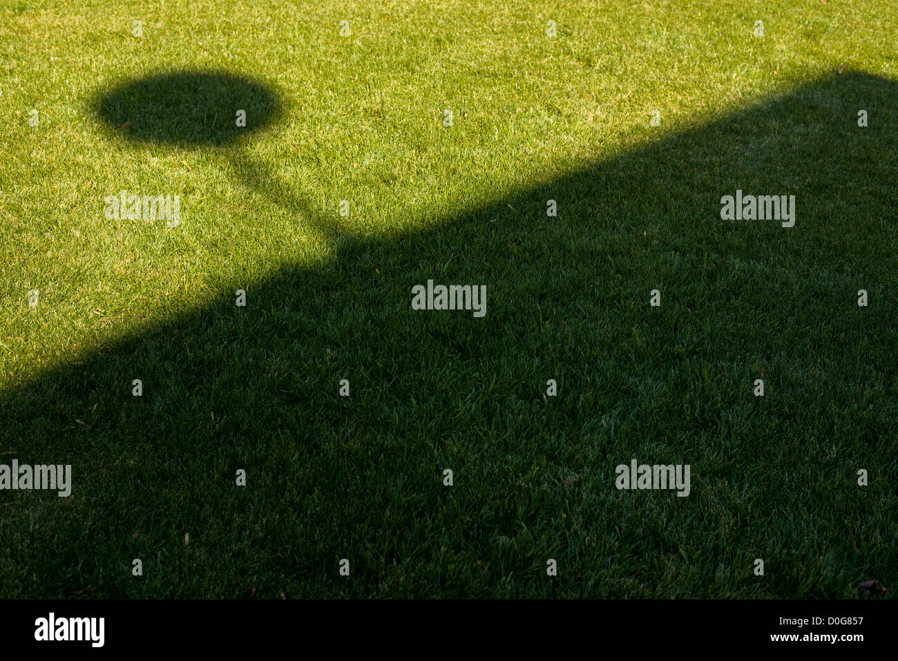 Antenne Satellite ombre d'herbe verte Banque D'Images