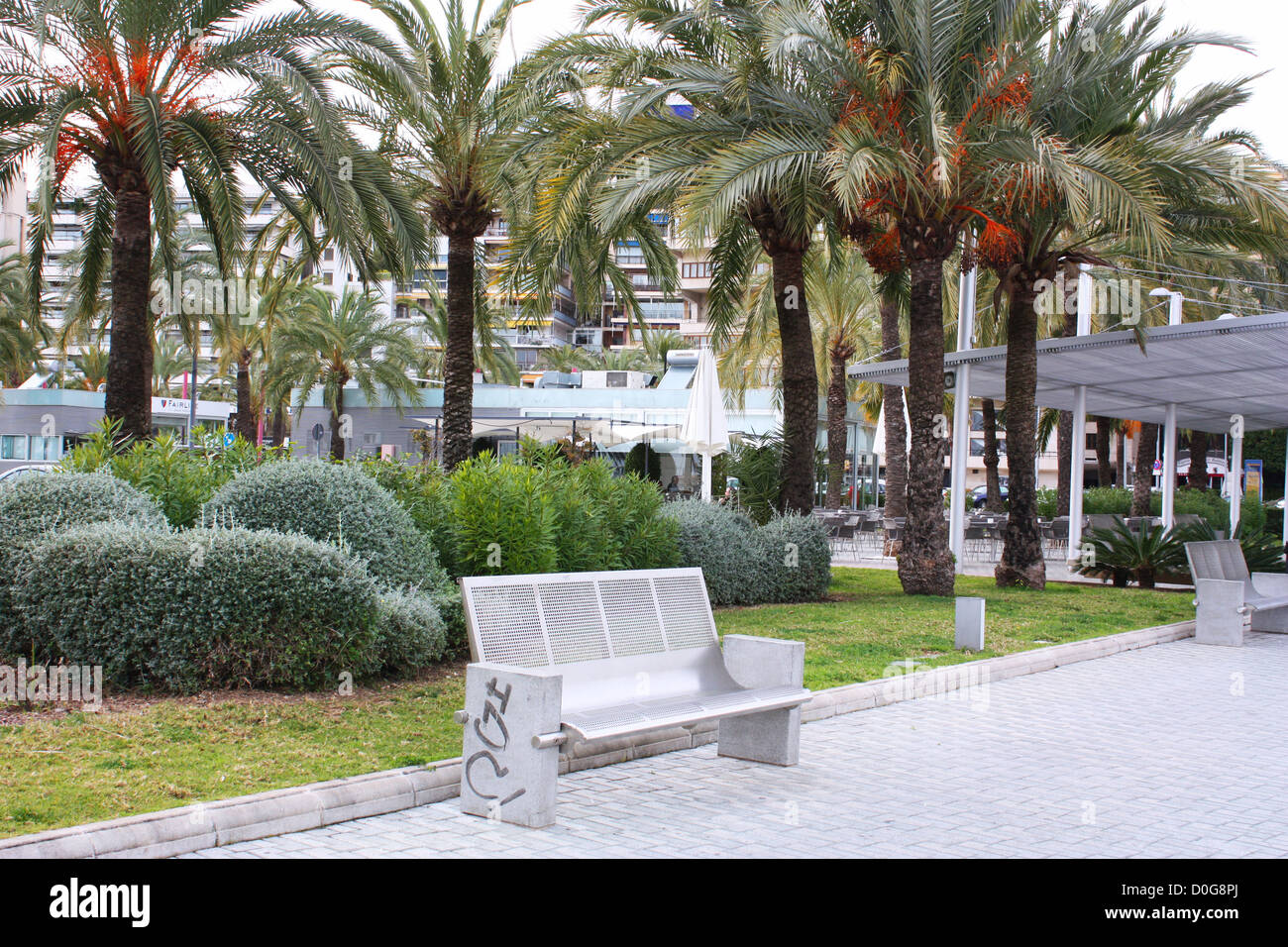 Banc et palmiers à Palma de Majorque, Espagne Banque D'Images