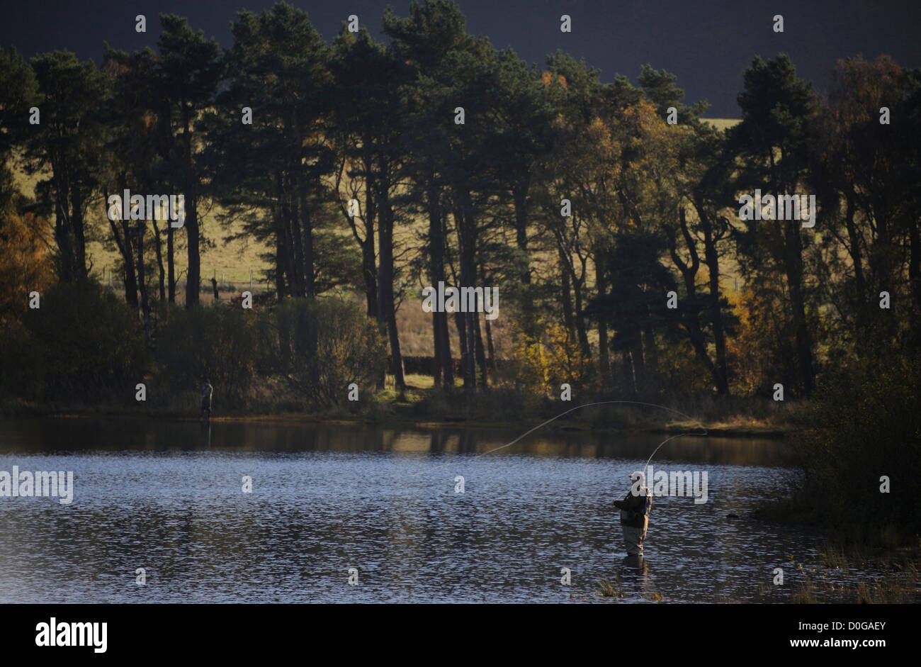 Un homme pêche en réservoir Harlaw près de la ville d'Édimbourg, Écosse, Royaume-Uni. Pentlands Banque D'Images