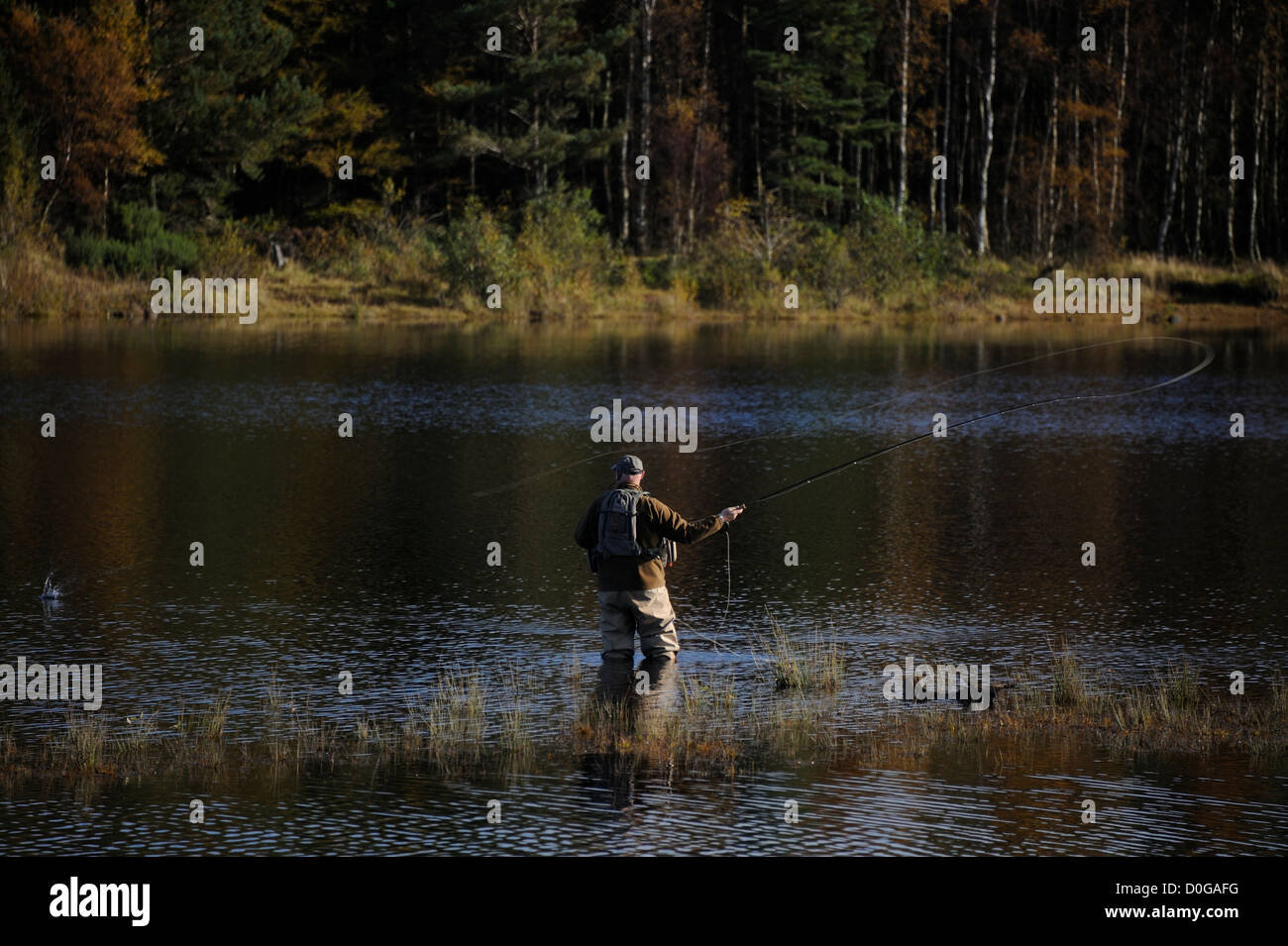 Un homme pêche en réservoir Harlaw près de la ville d'Édimbourg, Écosse, Royaume-Uni. Pentlands Banque D'Images