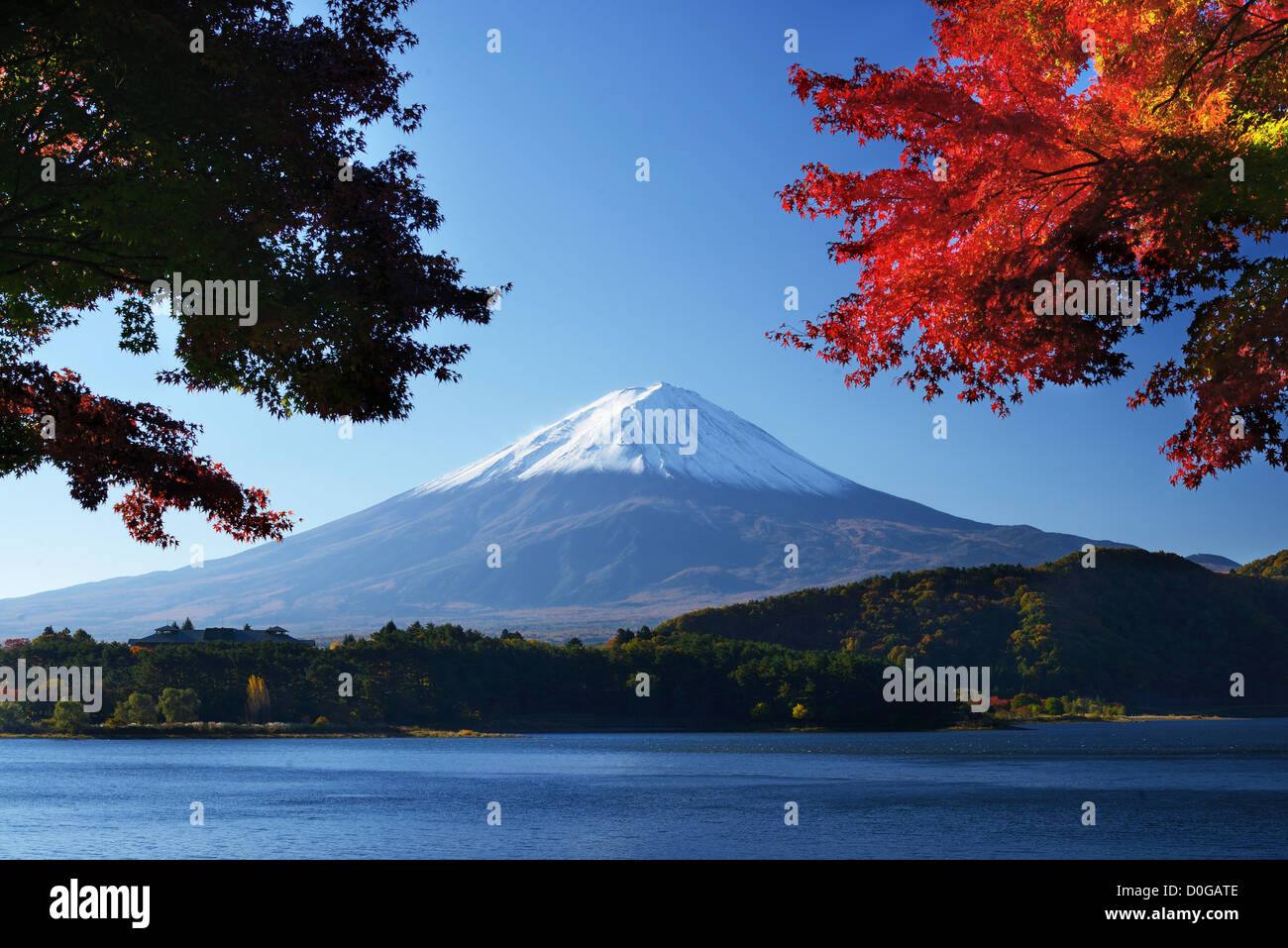 Le mont Fuji au crépuscule près du lac Kawaguchi dans la préfecture de Yamanashi, au Japon. Banque D'Images