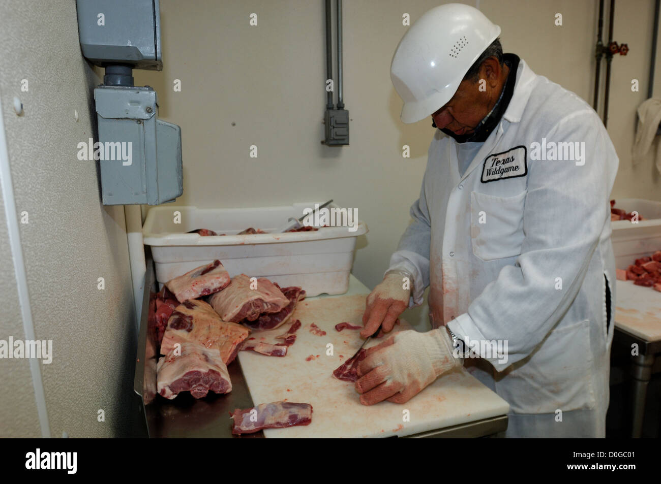Boucher découpe et le gibier sauvage à Broken Arrow dans Ingram ranch au Texas Banque D'Images