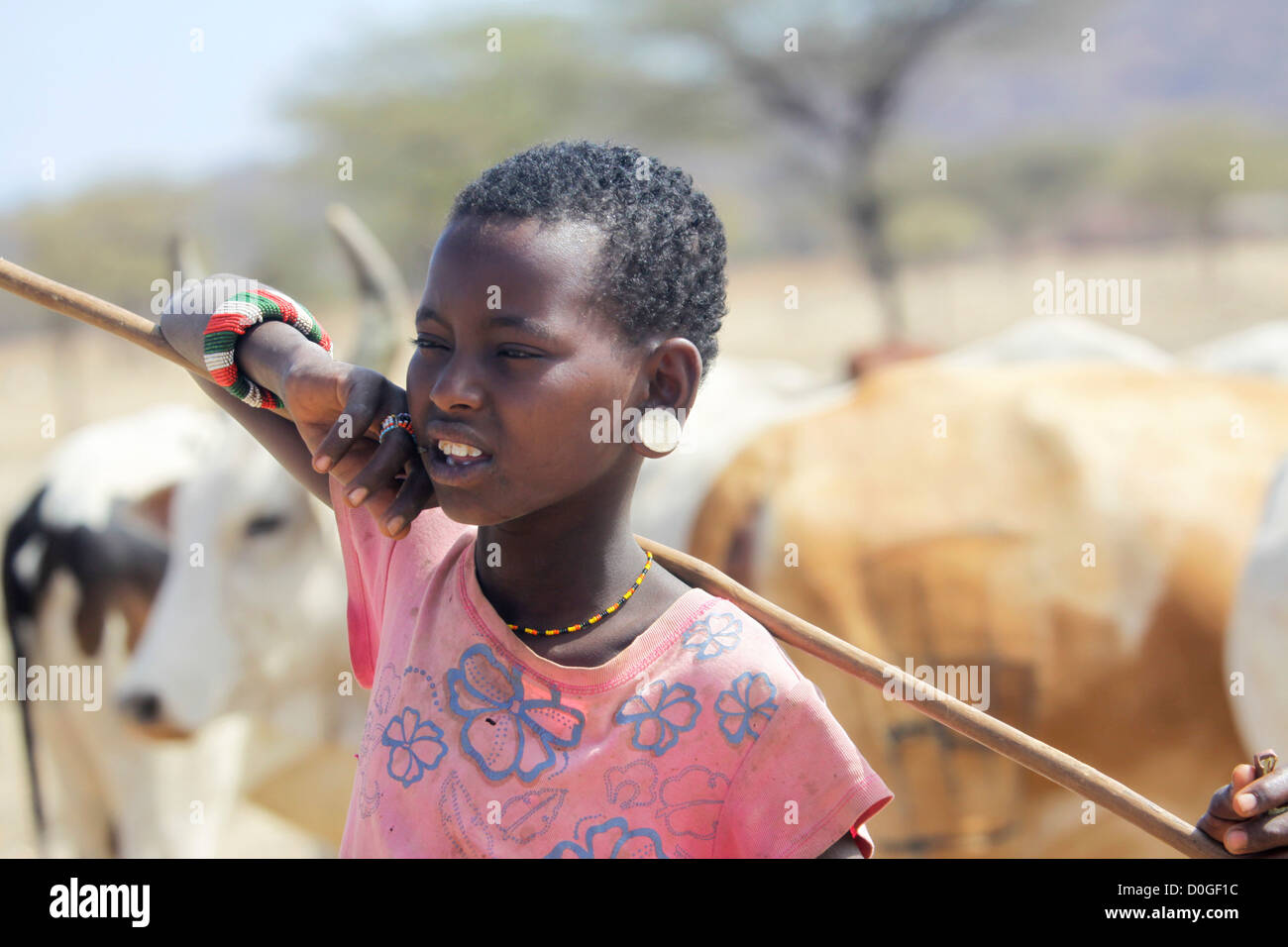 Kenya, Samburu Masai (tribu Maasai) également un groupe ethnique des populations semi-nomades. Les jeunes bovins d'élevage garçon Maasai Banque D'Images