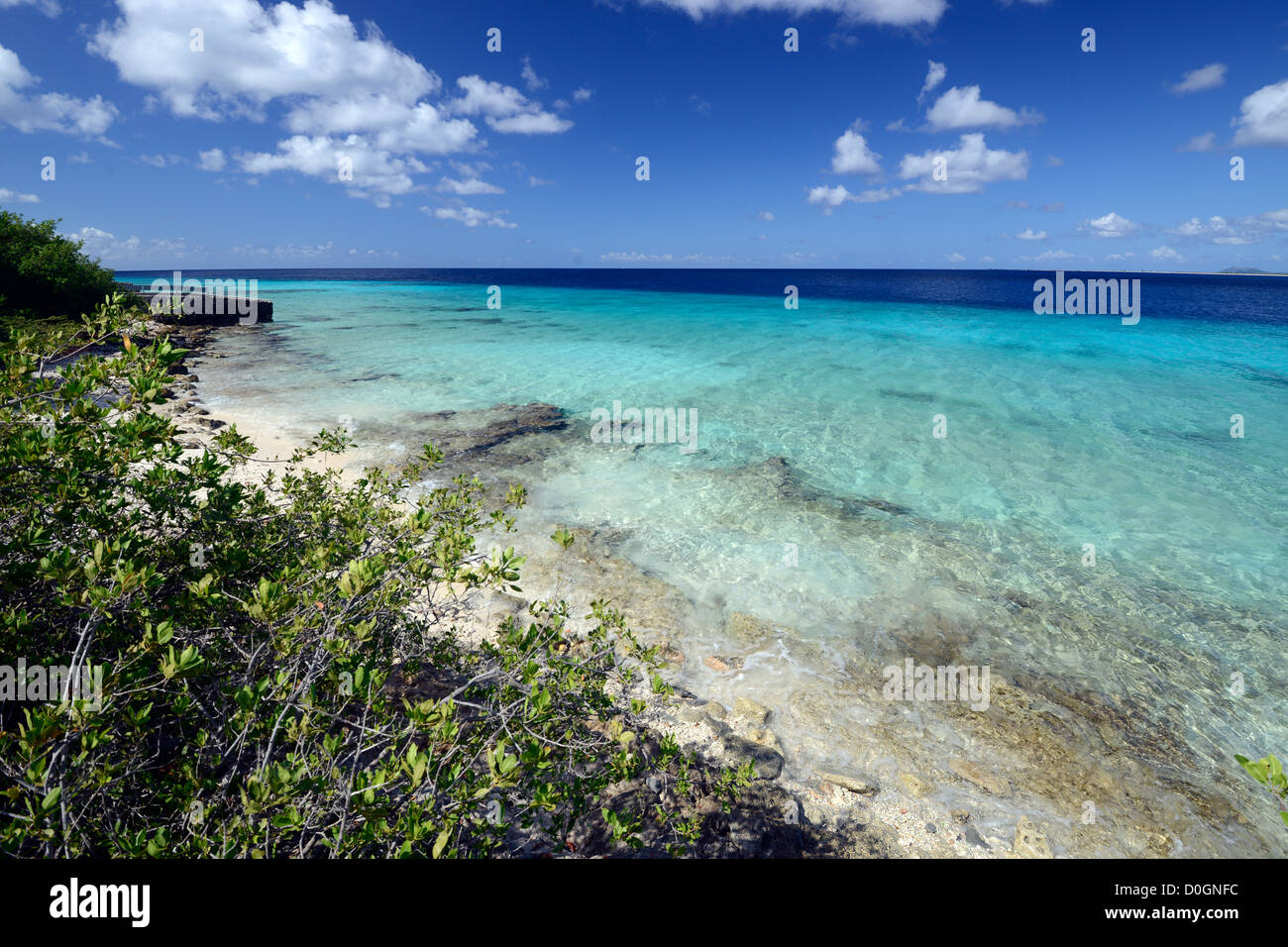 Bonaire, Antilles néerlandaises, dans la mer des Caraïbes Banque D'Images