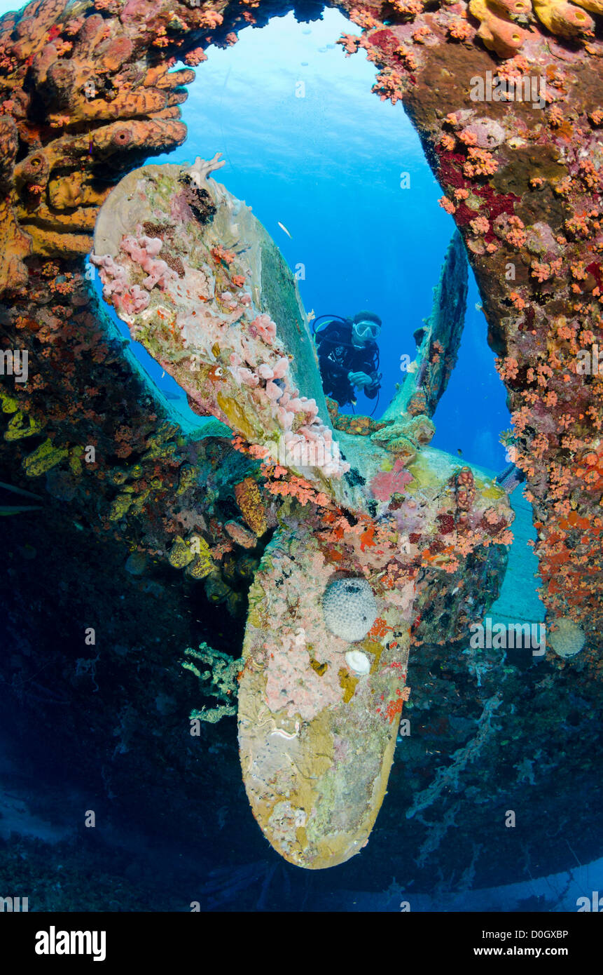 Épave d'Hilma Hooker, Bonaire, Antilles néerlandaises, Caraïbes Banque D'Images