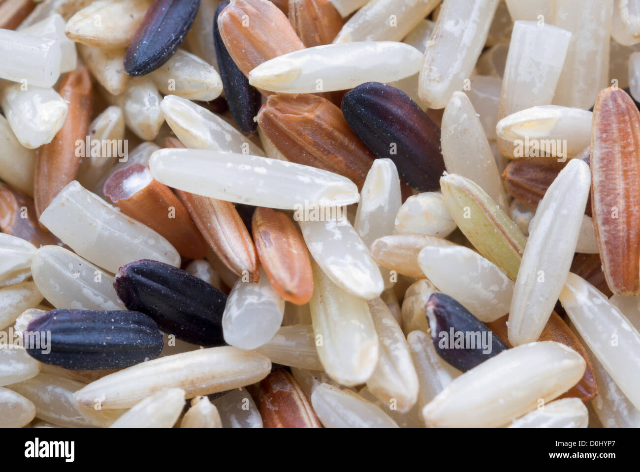 Différents types de riz Photo Stock - Alamy