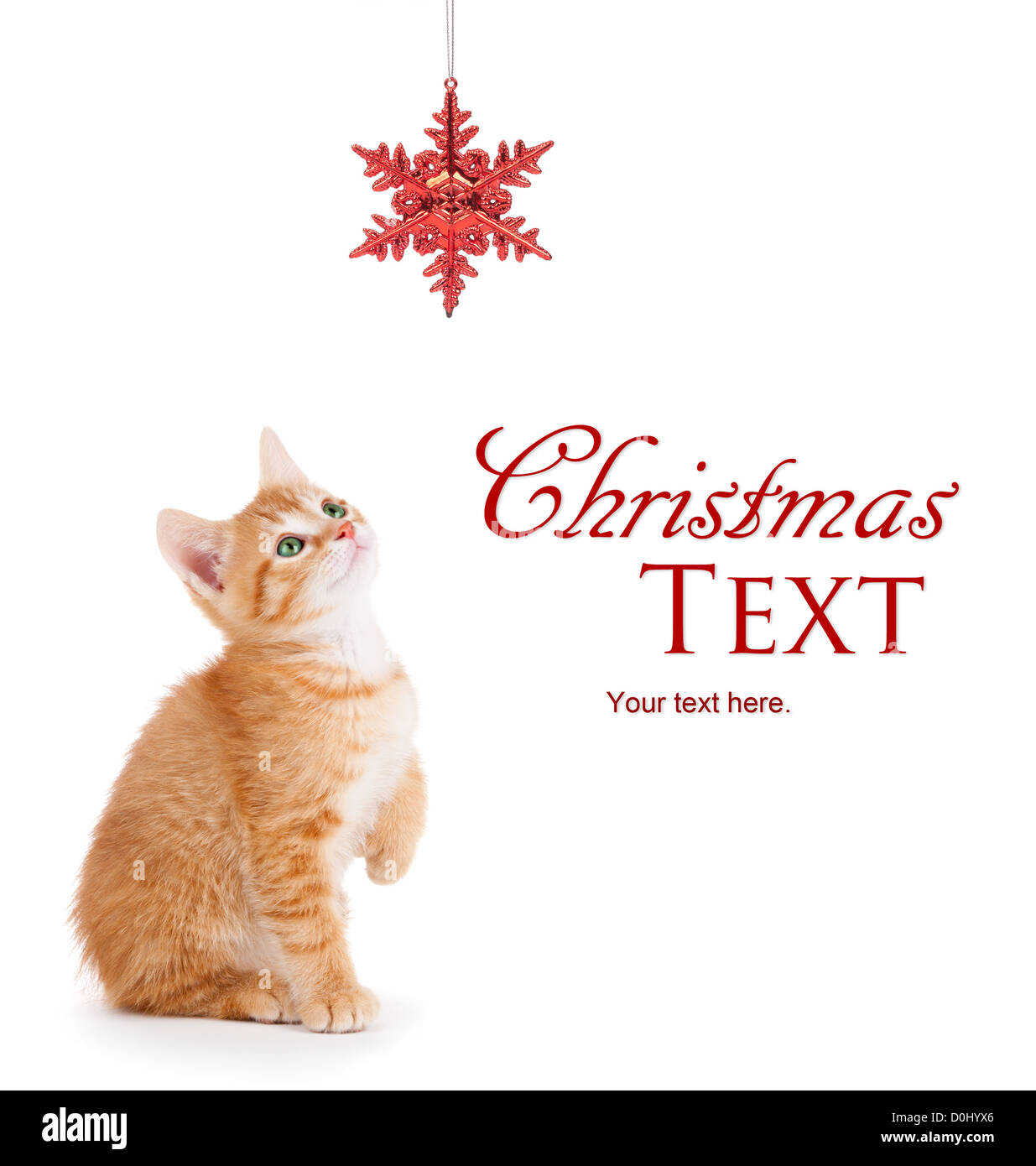 Orange mignon chaton jouant avec un ornement flocon de Noël rouge sur un fond blanc. Banque D'Images