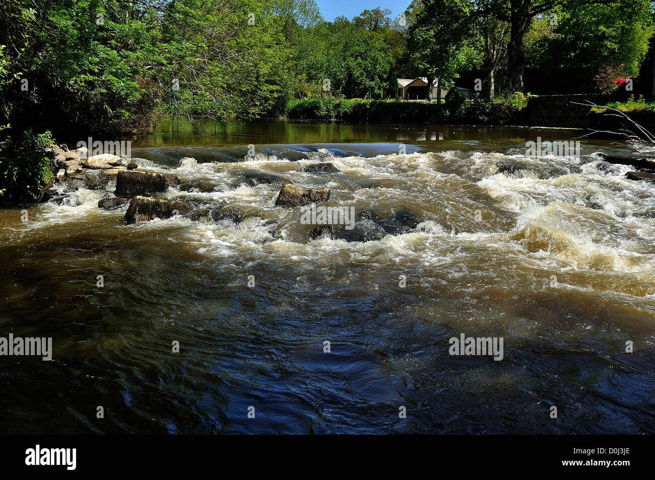 Barrage sur la rivière Varenne, en mai, le département de l'Orne, Normandie, Parc Normandie - Maine, France. Banque D'Images
