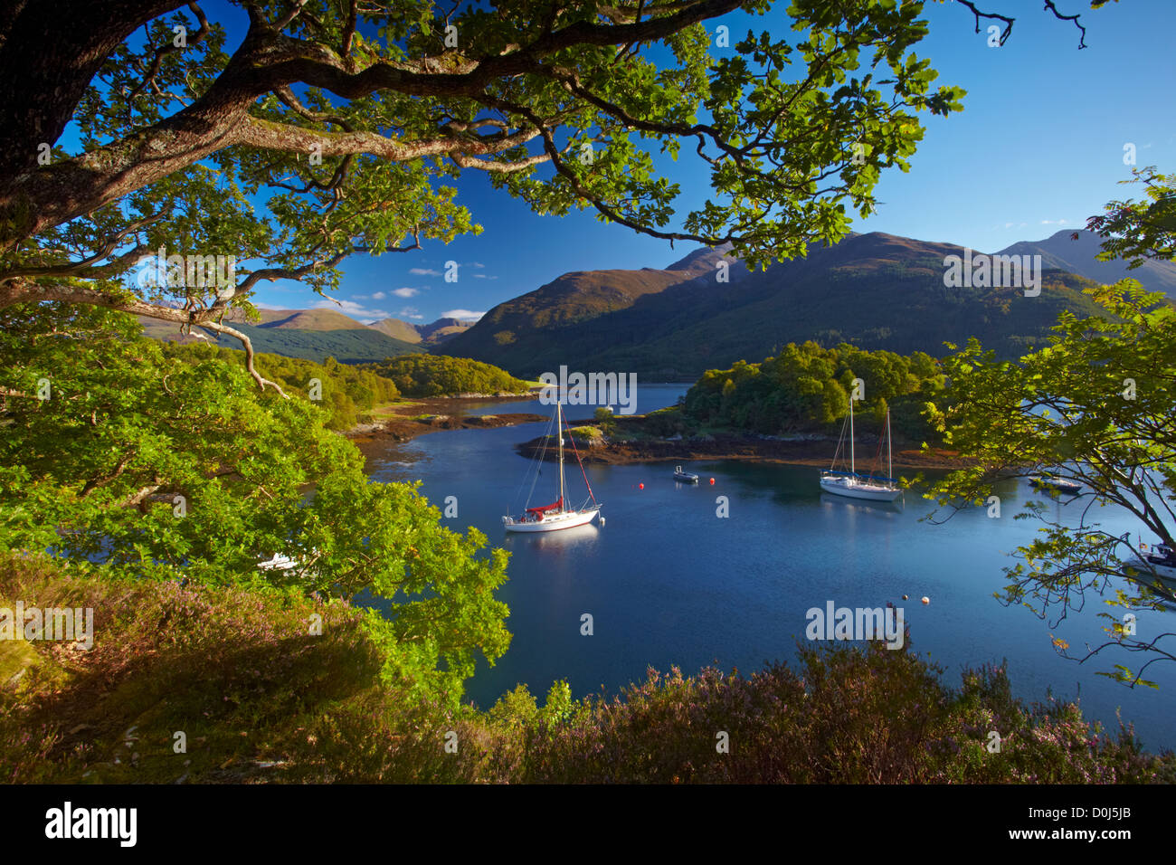 Yachts ancrés dans les eaux calmes du Loch Leven à Bishop's Bay. Banque D'Images Yachts ancrés dans les eaux calmes du Loch Leven à Bishop's Bay. Banque D'Images