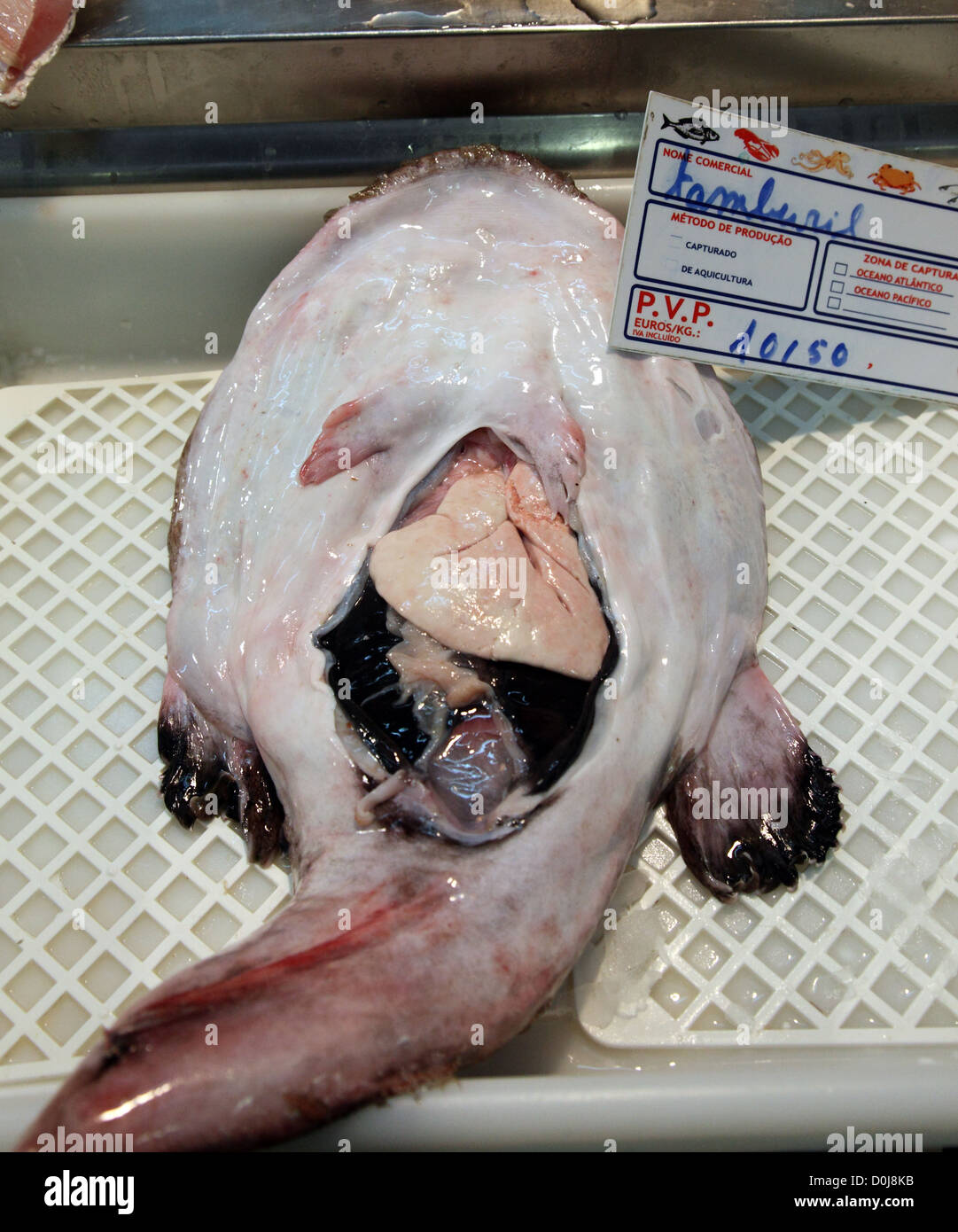 Tamboril (baudroie) en vente dans le marché aux poissons de Lisbonne Banque D'Images