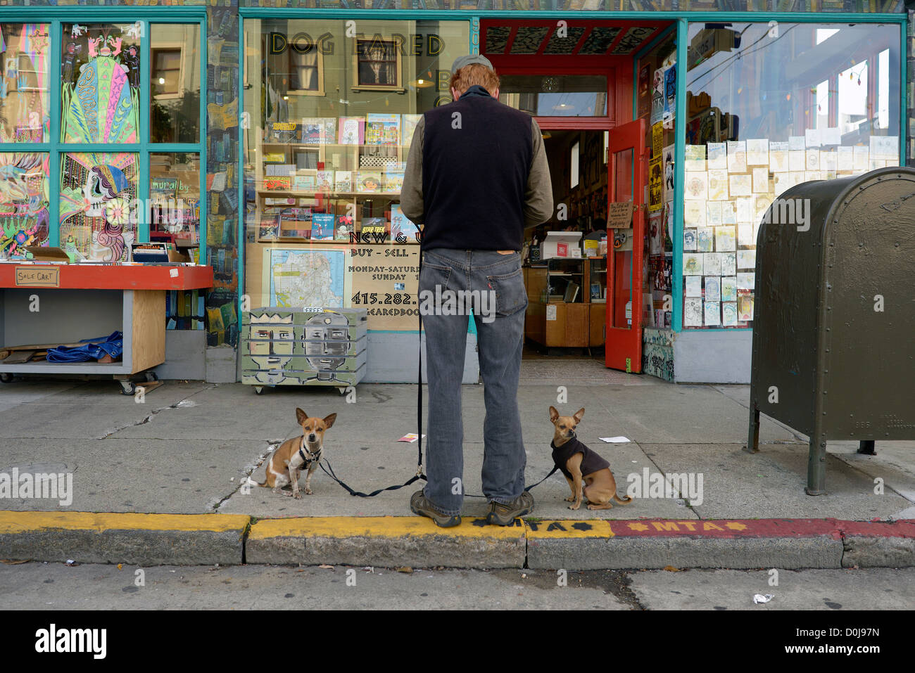 L'homme les chiens de valencia street san francisco Banque D'Images