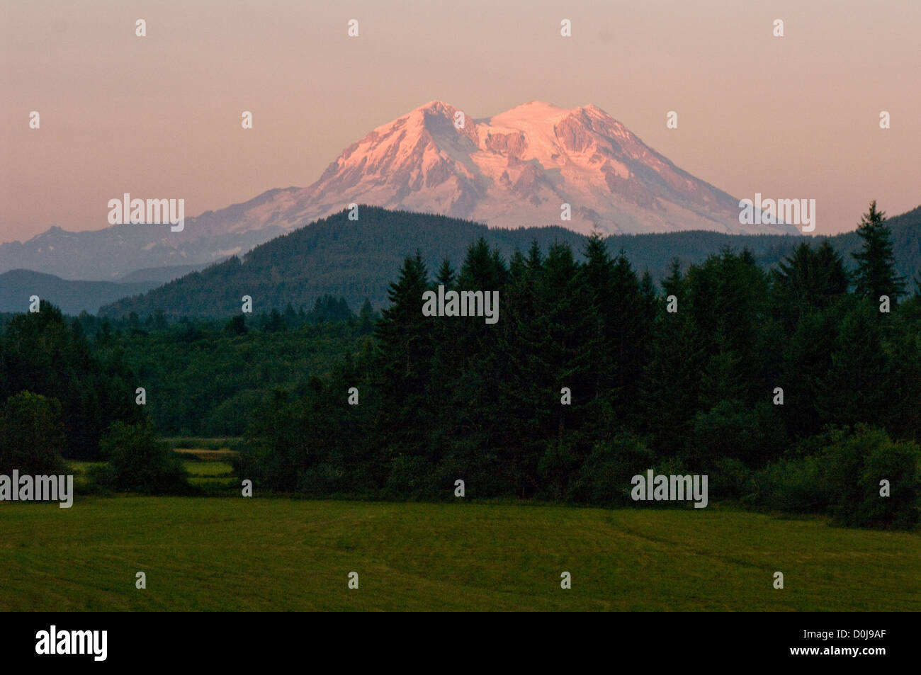 Le majestueux Mt. Rainier dans l'État de Washington est allumé dans la profondeur des teintes de rose et d'orange au coucher du soleil. Banque D'Images