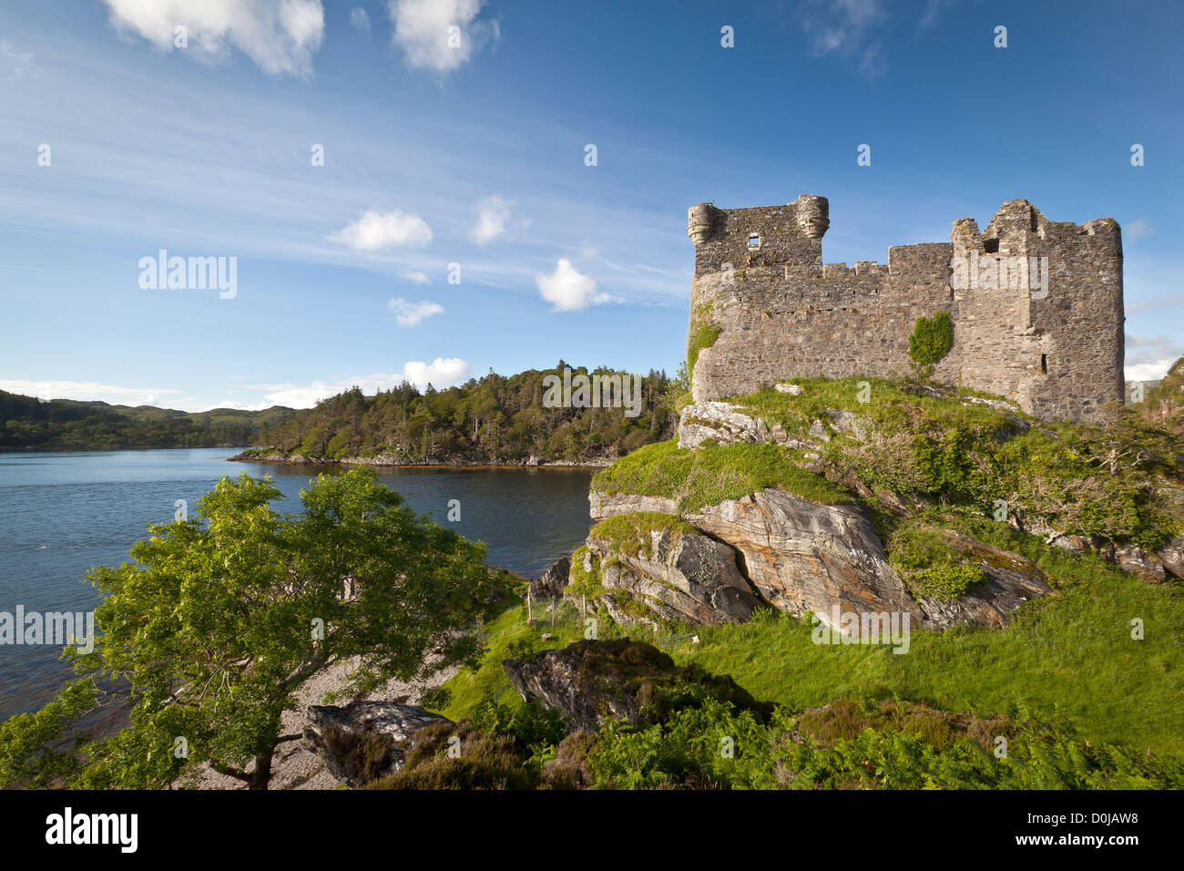 Une vue vers le château de Tioram Loch Moidart qui est sur une île appelée marée de Tioram Eilean. Banque D'Images