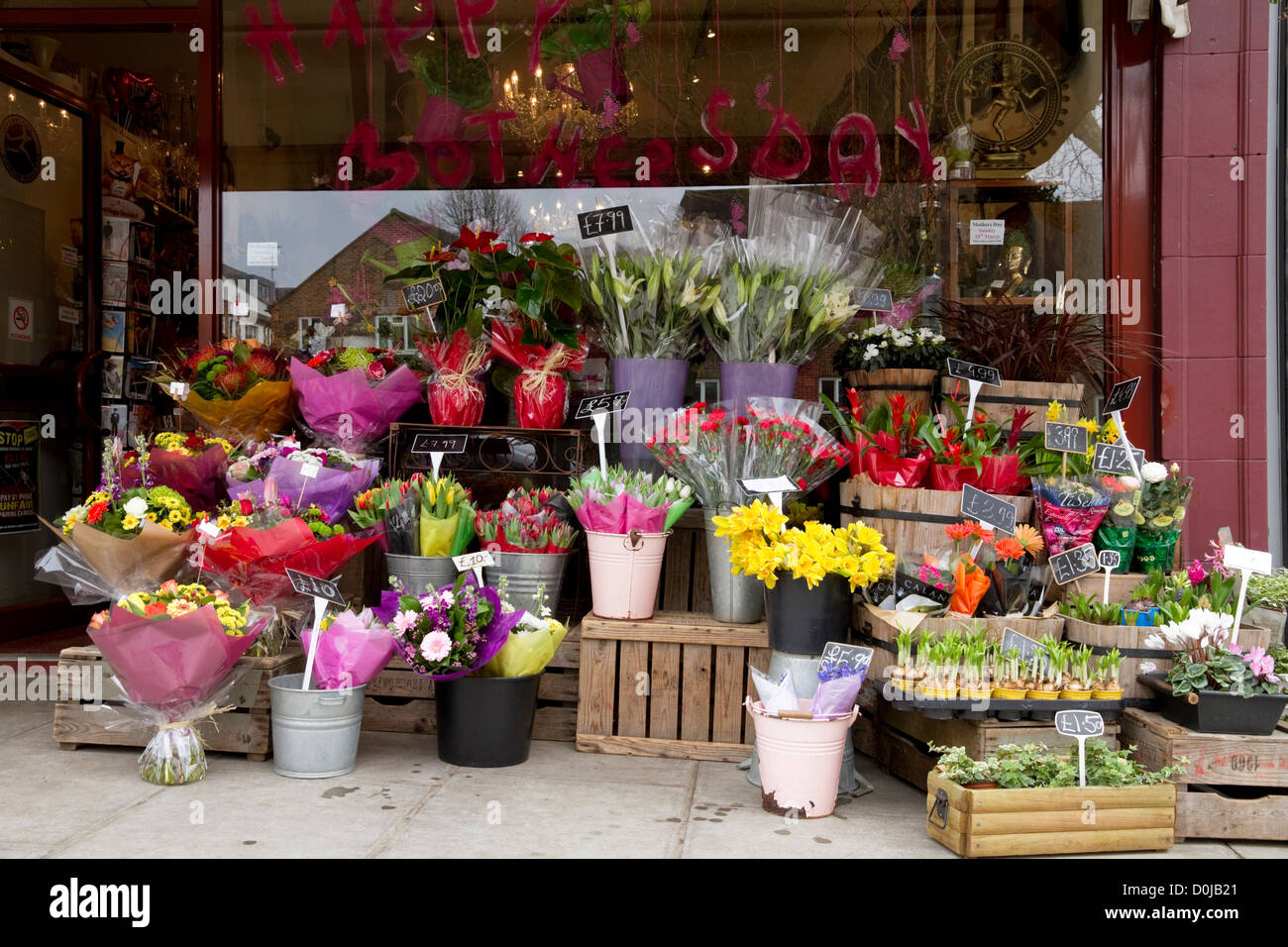 Un écran de fleurs et de plantes en pot pour la Fête des Mères. Banque D'Images