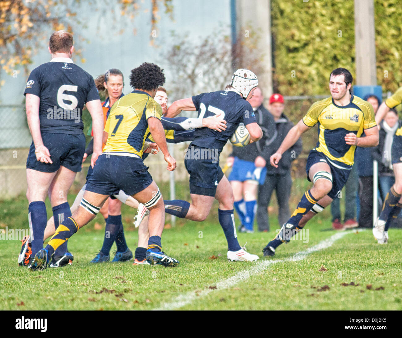 Men's rugby. C. James VIKES Bay Athletic Association. Université de Victoria, Wallace Champ. Le 24 novembre 2012. Banque D'Images