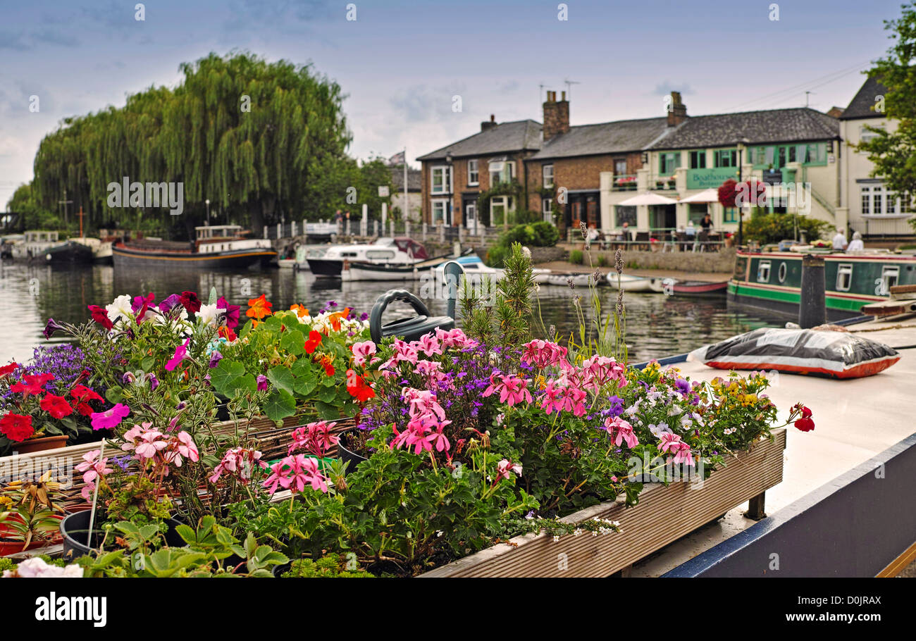 Des fleurs sur une barge sur la Great Ouse à Ely. Banque D'Images