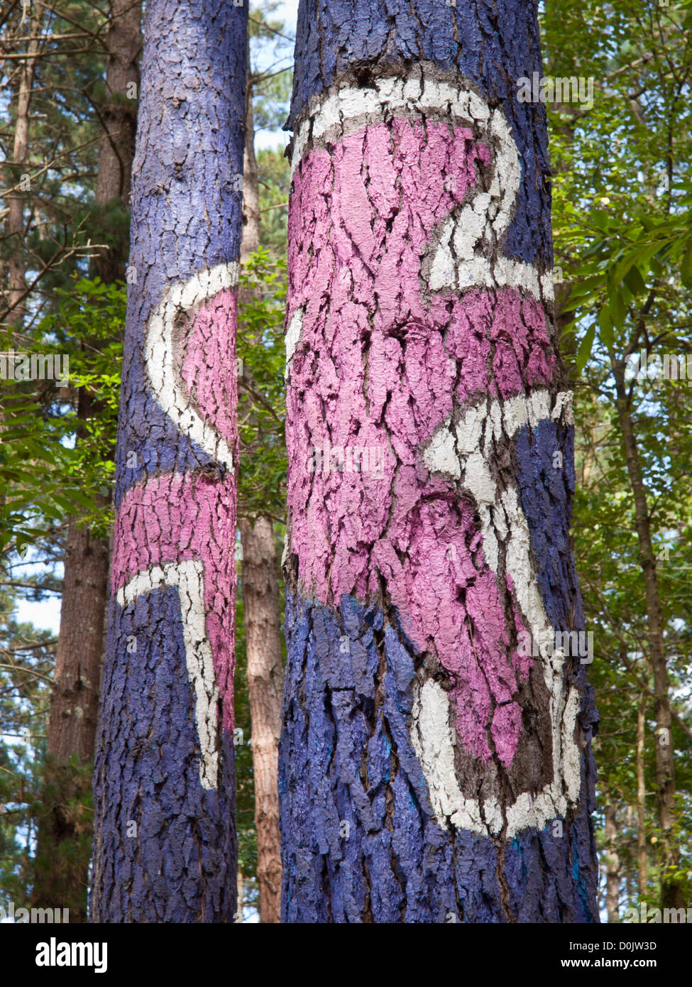 Forêt de l'Oma est une œuvre d'art par Agustin Ibarrola, un sculpteur et peintre basque, dans la réserve naturelle de l'Urdaibai en Espagne Banque D'Images