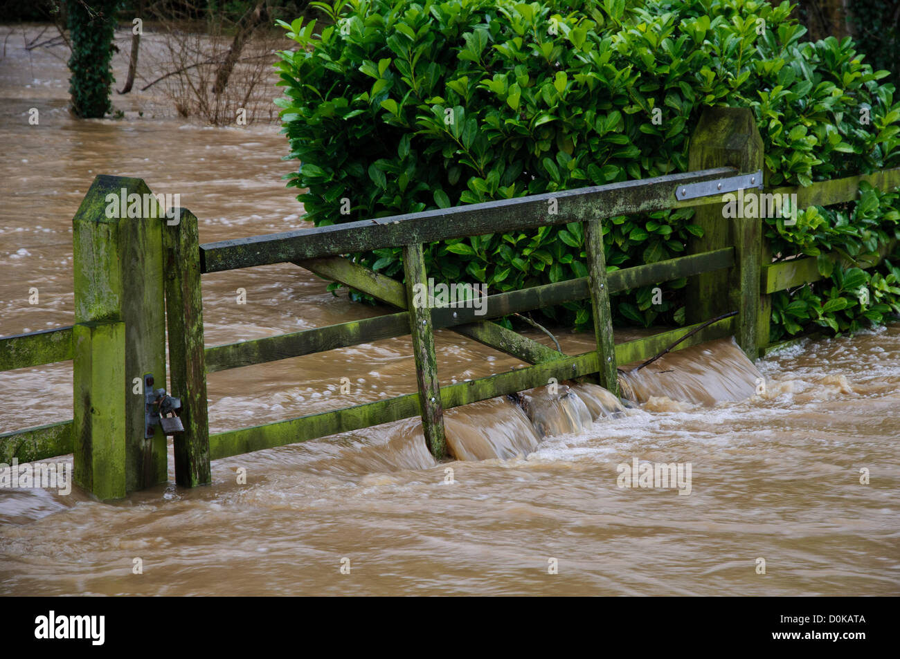 La forte pluie a entraîné des inondations dans de nombreuses régions du Royaume-Uni avec le Yorkshire du nord étant particulièrement touchées. Cette photo montre les eaux de crue de la morue Beck, qui a éclaté ses rives, verser sur une barre de cinq porte dans la ville de marché de Thirsk, Yorkshire du Nord le 27 novembre 2012. Banque D'Images