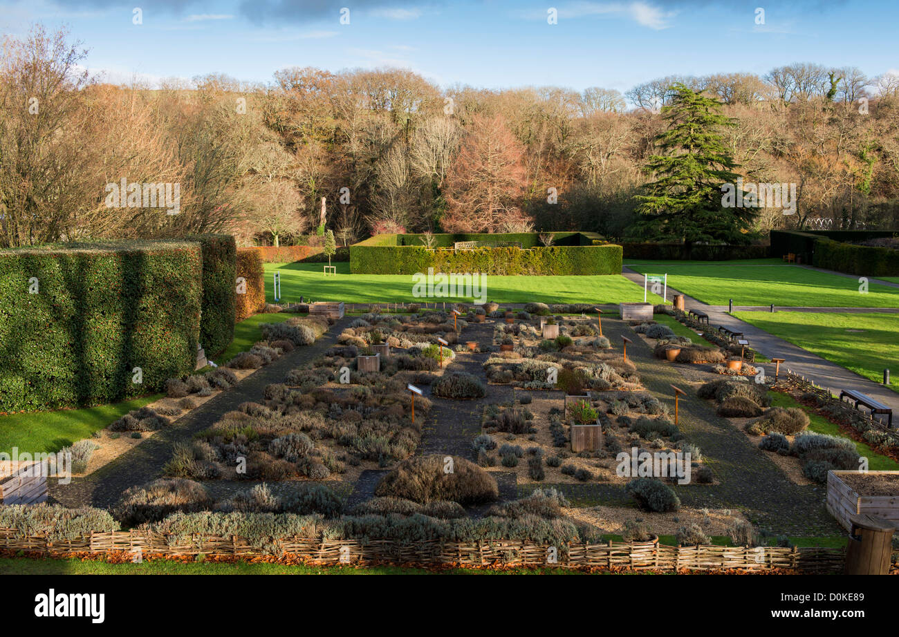 Abbaye de Buckfast, TOTNES, Devon, Angleterre. Le 26 novembre 2012. Le jardin de lavande à l'abbaye de Buckfast durant la fin de l'automne. Banque D'Images