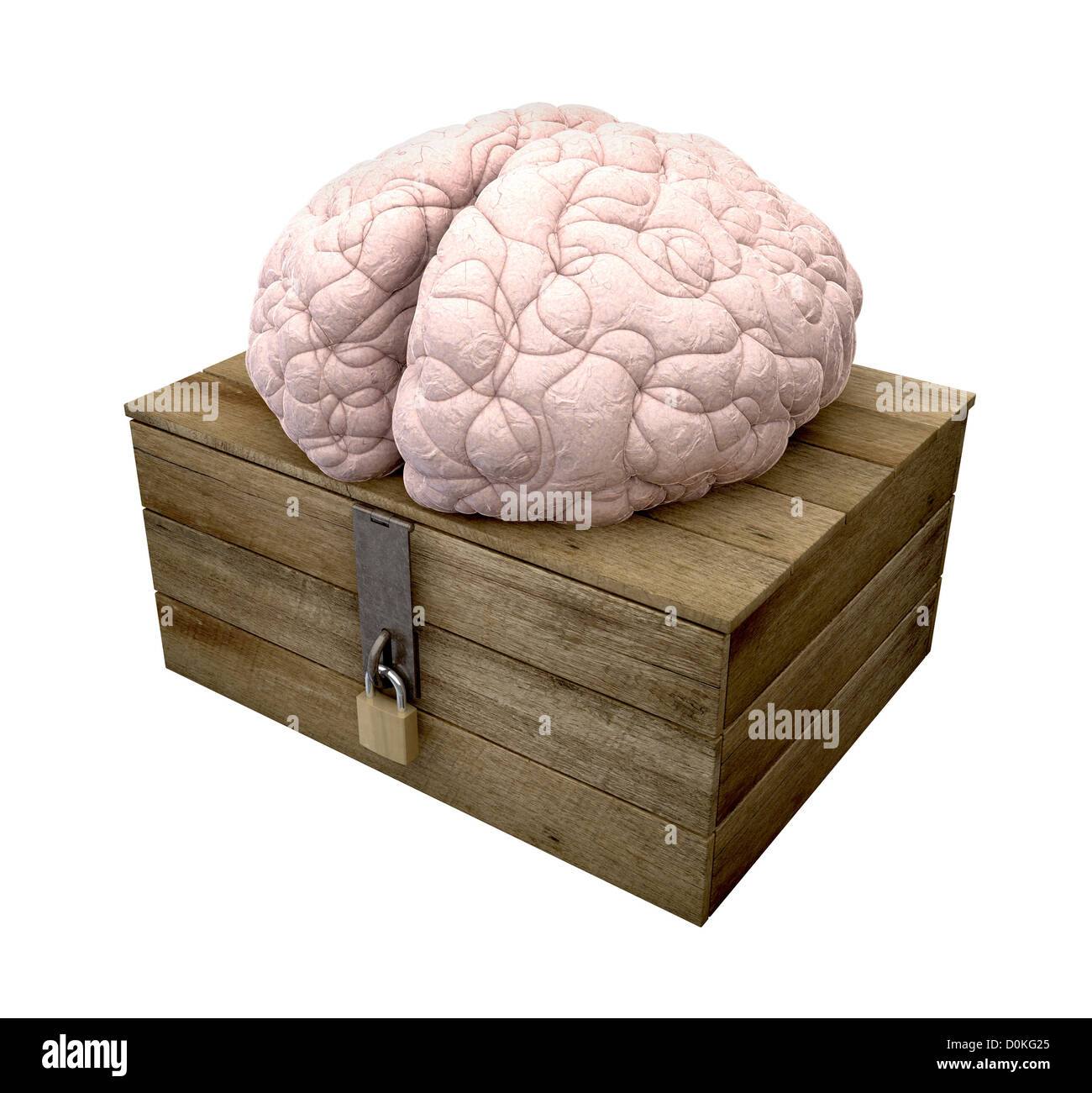 Un cerveau assis sur une boîte en bois représentant la réflexion à long terme à l'extérieur de la boîte sur un fond isolé Banque D'Images
